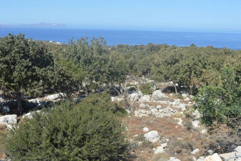 Prines Kreta, Prines: Grundstück mit herrlichem Meerblick in Prines Grundstück kaufen